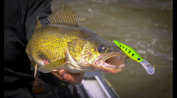 How to Troll for Walleye