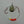 Quick Change Original 2 Hook Worm Harness