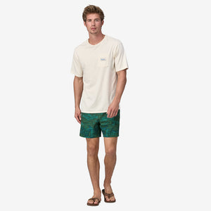 Patagonia Men's Hydropeak Volley Shorts - 16"