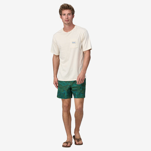 Patagonia Men's Hydropeak Volley Shorts - 16"