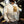 Marsh Wear Men's Baytown Sherpa Jacket