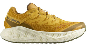 Salomon Men's Aero Glide 3 GRVL (478120)