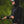 Simms Men's Midstream Hooded Jacket (14042)