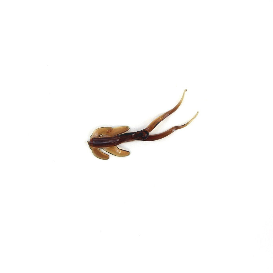 Clam Maki Matdi Soft Plastic Bait-Clam-Wind Rose North Ltd. Outfitters