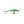 Clam Tikka Mino-Clam-Wind Rose North Ltd. Outfitters