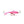Clam Tikka Mino-Clam-Wind Rose North Ltd. Outfitters