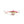 Clam Tikka Mino-Clam-Wind Rose North Ltd. Outfitters