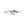 Clam Tikka Mino-Clam-Wind Rose North Ltd. Outfitters