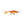 Clam Tikka Mino-Clam-Wind Rose North Ltd. Outfitters