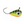 Clam Tungsten The Drop Jig-Clam-Wind Rose North Ltd. Outfitters