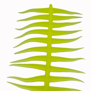 Dave's Wedgees-Dave's-Wind Rose North Ltd. Outfitters