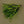 Howie's Peanut Fly-Howie's-Wind Rose North Ltd. Outfitters