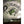 Panfish Pursuers P3 Plastics 1" Slicee-Panfish Pursuers-Wind Rose North Ltd. Outfitters