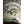 Panfish Pursuers P3 Plastics Corix-Panfish Pursuers-Wind Rose North Ltd. Outfitters