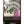 Panfish Pursuers P3 Plastics Corix-Panfish Pursuers-Wind Rose North Ltd. Outfitters