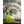 Panfish Pursuers P3 Plastics Crawzi-Panfish Pursuers-Wind Rose North Ltd. Outfitters