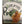 Panfish Pursuers P3 Plastics Spugg-Panfish Pursuers-Wind Rose North Ltd. Outfitters