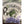 Panfish Pursuers P3 Plastics Spugg-Panfish Pursuers-Wind Rose North Ltd. Outfitters
