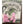 Panfish Pursuers P3 Plastics Spugg-Panfish Pursuers-Wind Rose North Ltd. Outfitters