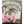 Panfish Pursuers P3 Plastics Spugg-Panfish Pursuers-Wind Rose North Ltd. Outfitters