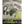 Panfish Pursuers P3 Plastics Spugg-Panfish Pursuers-Wind Rose North Ltd. Outfitters