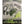 Panfish Pursuers P3 Plastics Spugg-Panfish Pursuers-Wind Rose North Ltd. Outfitters