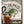 Panfish Pursuers P3 Plastics Spugg-Panfish Pursuers-Wind Rose North Ltd. Outfitters