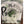 Panfish Pursuers P3 Plastics Spugg-Panfish Pursuers-Wind Rose North Ltd. Outfitters