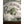 Panfish Pursuers P3 Plastics Tadbug-Panfish Pursuers-Wind Rose North Ltd. Outfitters