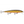 Rapala Husky Jerk HJ-12-Rapala-Wind Rose North Ltd. Outfitters