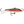 Rapala Jigging Rap W7-Rapala-Wind Rose North Ltd. Outfitters