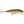 Rapala Original Floating F-11-Rapala-Wind Rose North Ltd. Outfitters