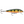 Rapala Original Floating F-11-Rapala-Wind Rose North Ltd. Outfitters