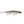 Rapala Shadow Rap SDR-11-Rapala-Wind Rose North Ltd. Outfitters