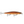 Rapala Shadow Rap SDR-11-Rapala-Wind Rose North Ltd. Outfitters