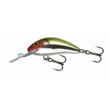 Salmo Hornet Floating 4-Salmo Hornet-Wind Rose North Ltd. Outfitters