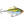 Rapala Rap-V Blade (RVB-6)