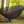 Eno Guardian Bug Net