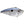 Strike King Red Eyed Shad-Strike King-Wind Rose North Ltd. Outfitters