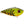 Strike King Red Eyed Shad-Strike King-Wind Rose North Ltd. Outfitters