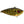 Strike King Red Eyed Shad-Strike King-Wind Rose North Ltd. Outfitters