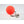 Sunrise Tackle Bobber Kit-Sunrise Tackle-Wind Rose North Ltd. Outfitters